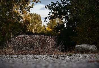  Bez szans na odmianę [POGODA]