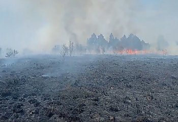 Pali się torf w Paterku. Katastrofalna sytuacja może potrwać kilka dni [WIDEO]