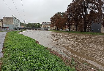 Jak pomóc poszkodowanym przez powódź? 