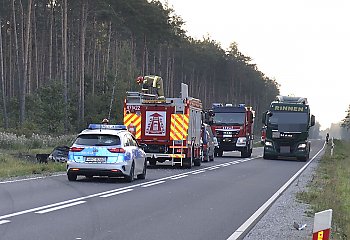 Samochód zderzył się z łosiem i stanął w płomieniach. Kierowca z ciężkimi obrażeniami w szpitalu