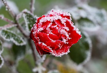 Temperatura spadła poniżej zera! [POGODA]