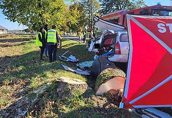 Zginął młody mężczyzna. Tragiczny wypadek na DW 534