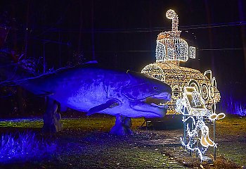 Myślęcinek rozbłyśnie światłami - Lumina Park odpala iluminacje