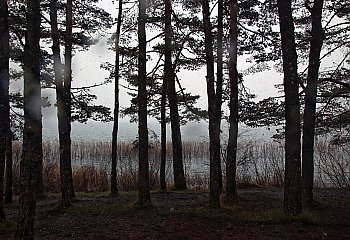 Między mgłą a błękitem nieba [POGODA]