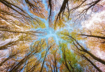 Ochłodzenie stało się faktem. Temperatury będą jednocyfrowe [POGODA]