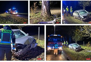 Auto uderzyło w drzewo na drodze wojewódzkiej. Ranny kierowca trafił do szpitala