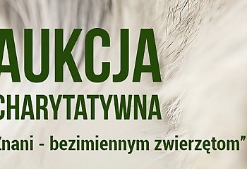 Aukcja charytatywna dla bezimiennych zwierząt. Organizatorzy zachęcają do udziału