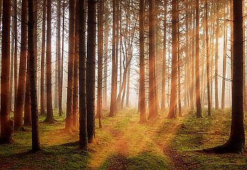 Dzień jesiennego słońca [POGODA]