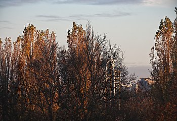 Deszcz i skoki ciśnienia [POGODA]