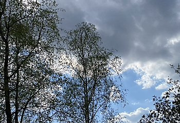 Ochłodzenie [POGODA]