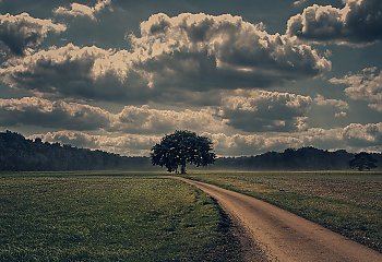 Po deszczu — ochłodzenie [POGODA]