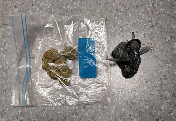 Wpadł z narkotykami. Pomógł policyjny pies