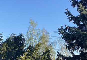 Dziś chłodno, a jutro zimno i wietrznie [POGODA]