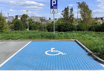 Nietrzeźwa kierująca i sfałszowana karta parkingowa. Straż Miejska podsumowuje interwencje