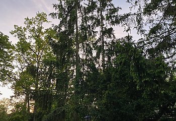 Bez parasola, ale z kurtką! [POGODA]