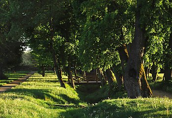Słoneczny czwartek [POGODA]