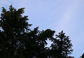 Nad całą Polską niebo jest bezchmurne! [POGODA]
