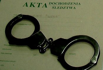 Zatrzymani po serii kradzieży i włamań. Straty przekroczyły 29 tysięcy złotych