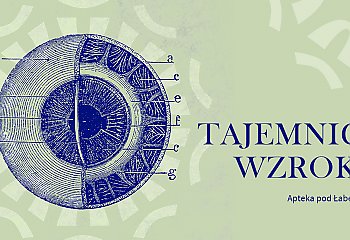 Nie uwierzysz, co potrafi ludzkie oko! Nowa wystawa w centrum Bydgoszczy otwiera oczy na świat!