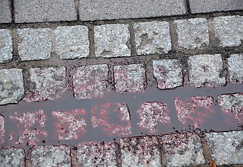 Napastnik, który usiłował zabić kobietę w Toruniu był obcokrajowcem. Są reakcje polityków!