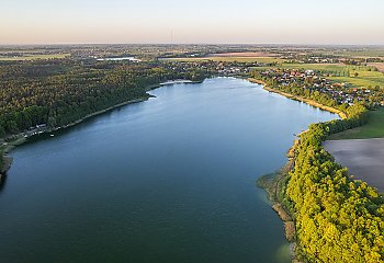 Makabryczne odkrycie IPN pod Bydgoszczą! Masowe groby Polaków ujawnione po 85 latach
