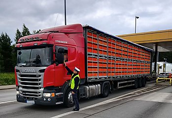 Pijani kierowcy na autostradzie A1! Aż 8 ciężarówek jechało „na podwójnym gazie”