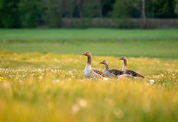 I po upałach [POGODA]