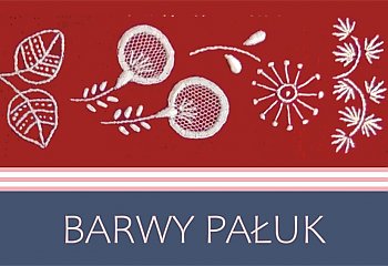 Te hafty to prawdziwe dzieła sztuki! Ludowe skarby Pałuk w sercu Bydgoszczy [ZAPROSZENIE]