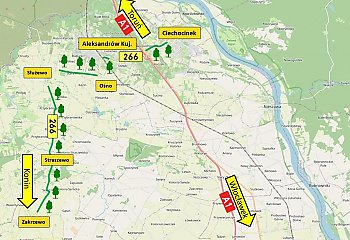 440 drzew wraca przy ważnej drodze! Nowa aleja zamiast betonu