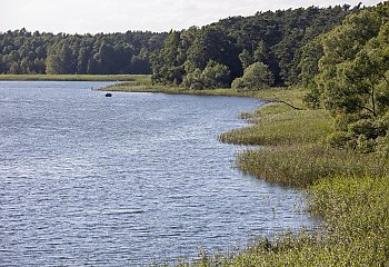 Wakacyjny raj tuż za rogiem! Dziesiątki jezior, ptaki zagrożone wyginięciem i światowy unikat niedaleko Bydgoszczy