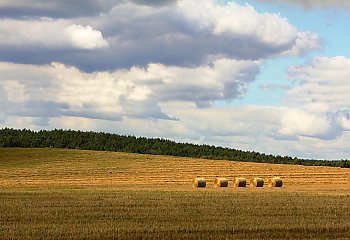 Pod panowaniem niżów [POGODA]