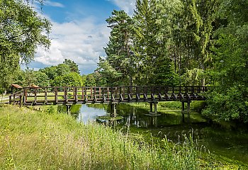 Grzyby, kajaki i średniowieczne grodzisko. Tucholski Park przyciąga tłumy z Bydgoszczy [GALERIA ZDJĘĆ]