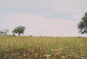 Chłodno i sucho [POGODA]