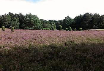 Po zimnej stronie prądu strumieniowego. Nadciąga powiew z morza Barentsa [POGODA]