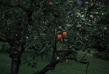 Przewaga chmur i wiatr, miejscami mżawka [POGODA]
