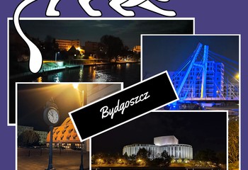 Bezalkoholowe wieczory w Bydgoszczy? Zielone światło dla nowego projektu!