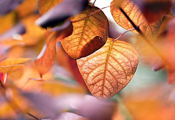 Chłodno i pochmurno, miejscami słaby deszcz [POGODA]