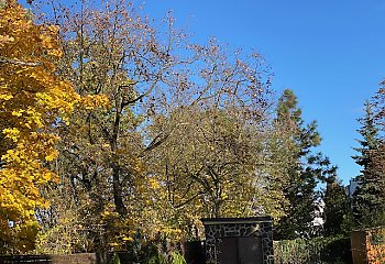 Bydgoszcz: Trochę słońca, potem deszcz i porywisty wiatr [POGODA]