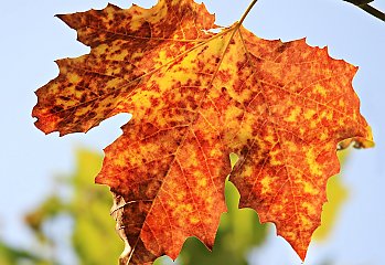 Bydgoszcz: wiatr i zachmurzenie [POGODA]