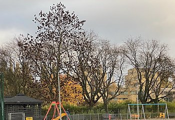 Pogodnie, bez opadów [POGODA]