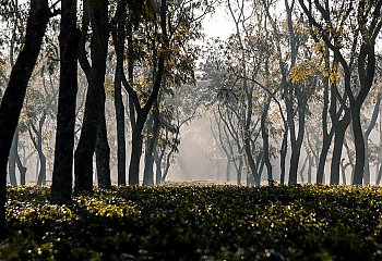 Słonecznie z umiarkowanym wiatrem nad Bydgoszczą [POGODA]