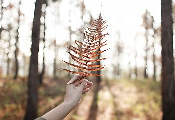 Pochmurno i chłodno, ale niedługo nastąpi zmiana [POGODA]