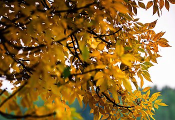 Pochmurno i wietrznie [POGODA]