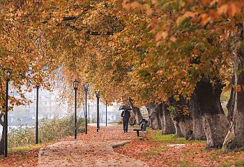 Pochmurno i wilgotno, przelotny deszcz [POGODA]