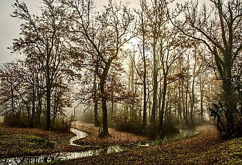 Pochmurno i wietrznie, bez istotnych opadów [POGODA]