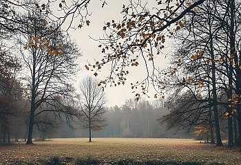 Chłodno i bardzo pochmurno, miejscami mżawka [POGODA]