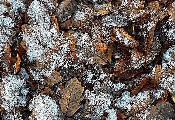 Chmury i opady mieszane nad Bydgoszczą [POGODA]