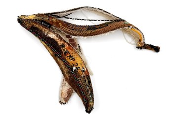 „Apetyty” w Bydgoszczy: sztuka, konsumpcja i ciało