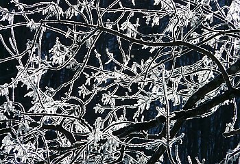 Pochmurno i chłodno nad Bydgoszczą [POGODA]