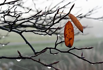 Chmury i przelotne opady w Bydgoszczy – 48 godzin [POGODA]